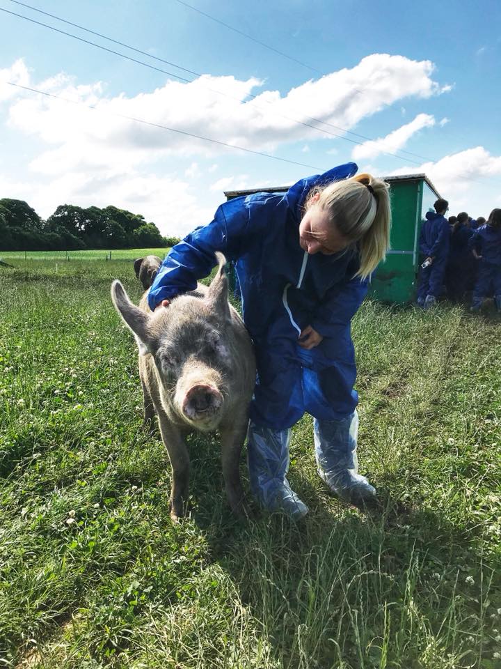 Landbrugselev snakker med en gris