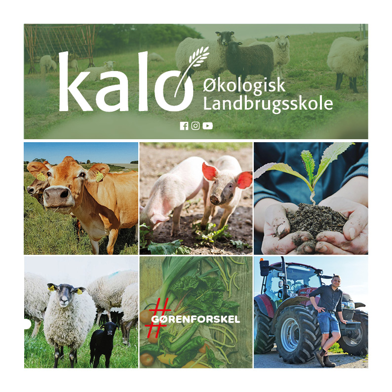 Forside af brochure om Kalø Økologisk Landbrugsskole