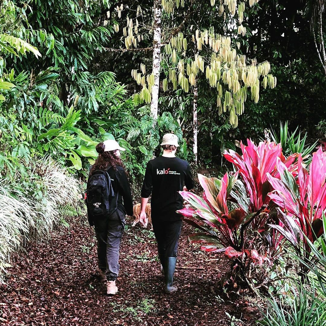 Kalø elever går i en tropisk have